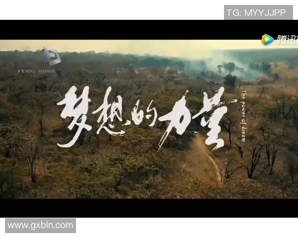 张帆的奋斗历程与成长故事揭示了青春的坚持与梦想的力量